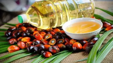 Myths Versus Facts in the Palm Oil Industry